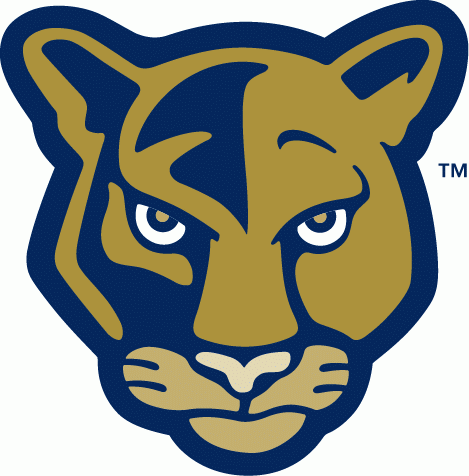FIU Panthers 2001-2008 Alternate Logo v2 diy fabric transfer